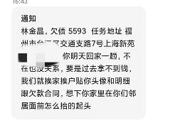 西双版纳为什么选择专业追讨公司来处理您的债务纠纷？